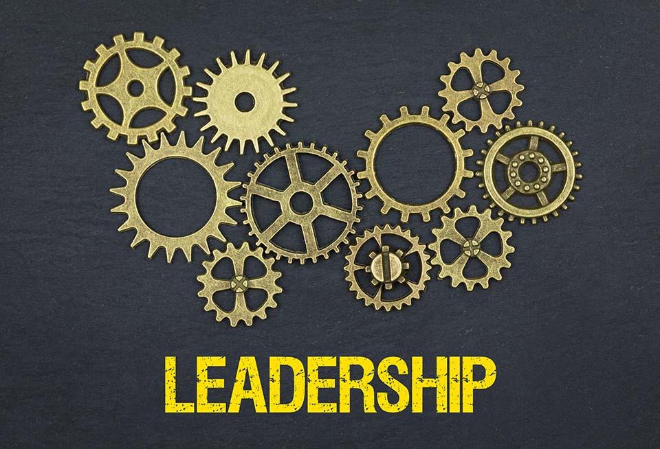 Leadership Gears