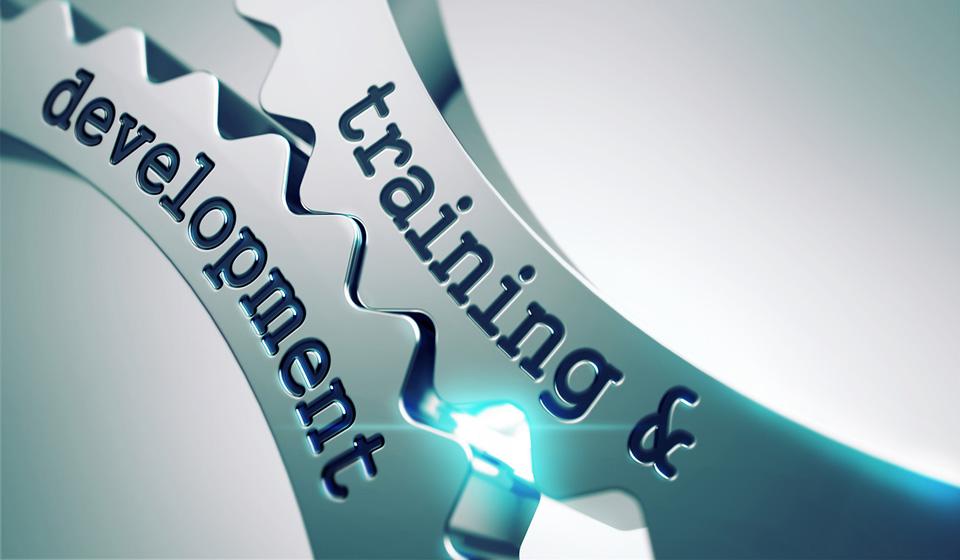 Training and development