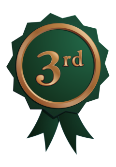 3rd Place Badge