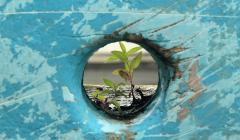 Resilience Plant Resilience Plant