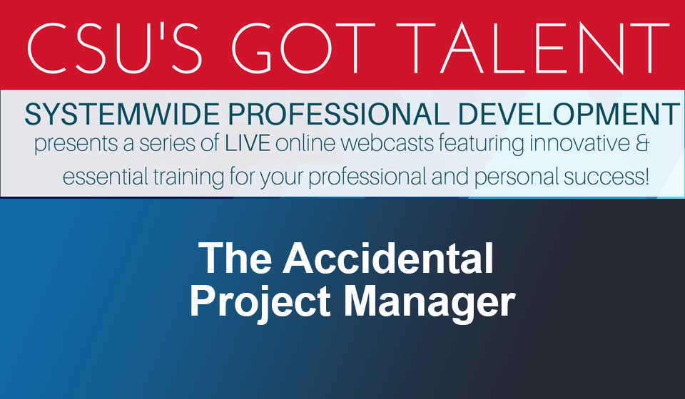 The Accidental Project Manager