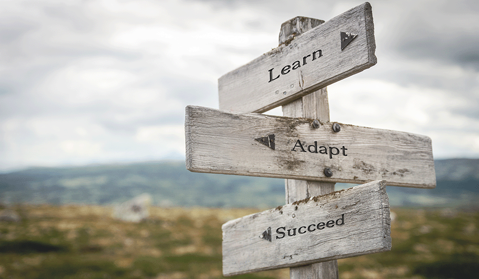 learn adapt succeed learn adapt succeed